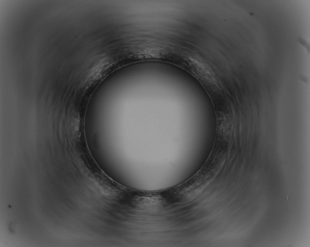 X0000093390548200710191156