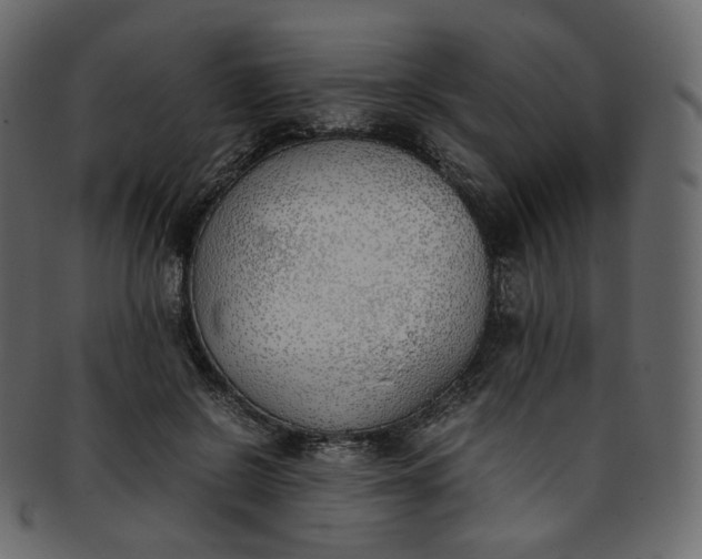 X0000093390550200710191156