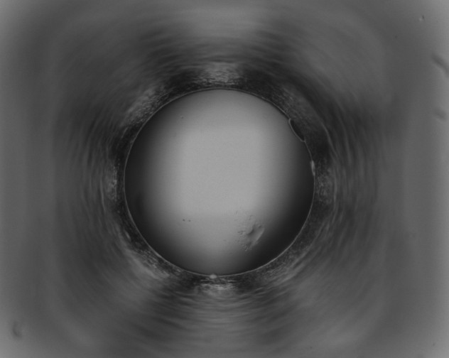 X0000093390552200710191156