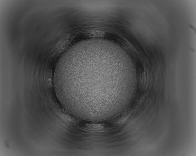 X0000093390553200710191156