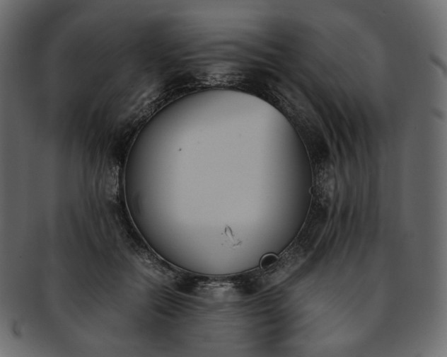 X0000093390554200710191156