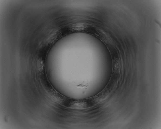 X0000093390555200710191156