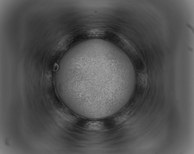 X0000093390557200710191156