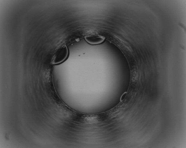 X0000093390560200710191156