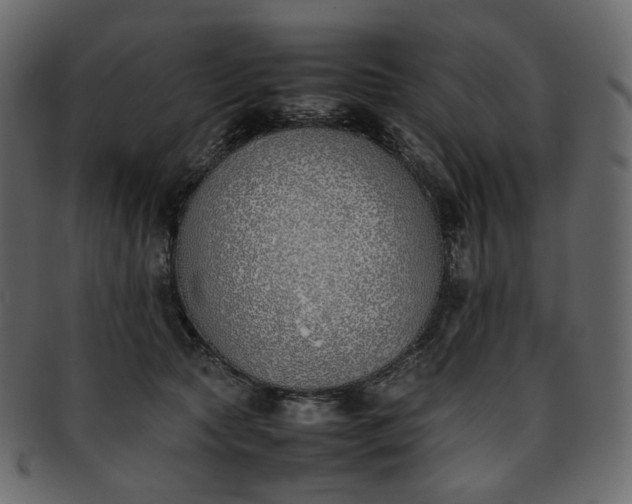 X0000093390561200710191156