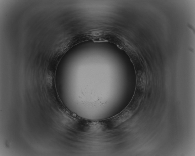 X0000093390562200710191156