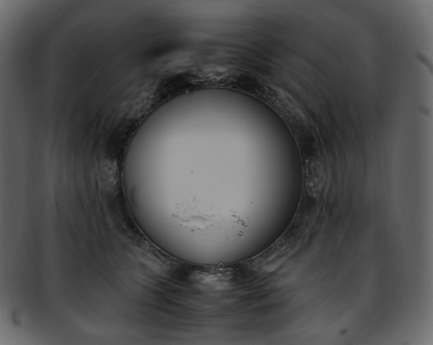 X0000093390563200710191156