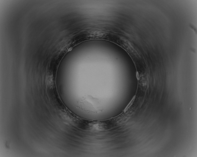 X0000093390564200710191156