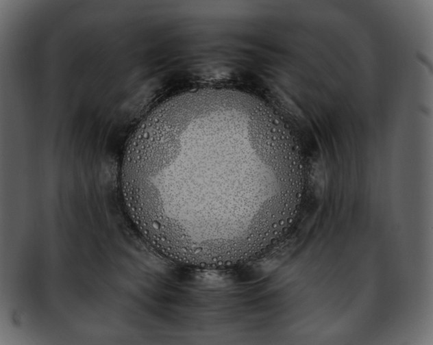 X0000093390565200710191156