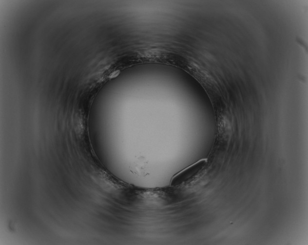 X0000093390566200710191156