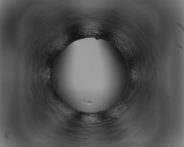 X0000093390567200710191156