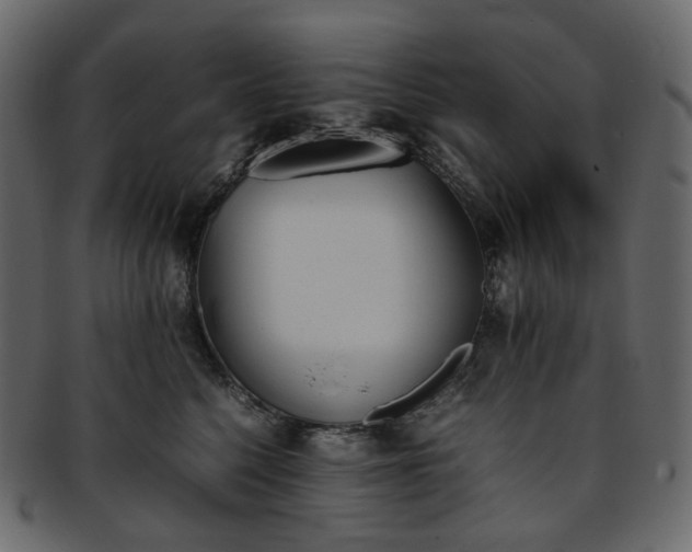 X0000093390568200710191156