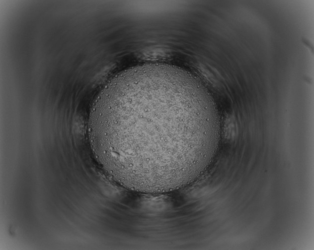 X0000093390569200710191156