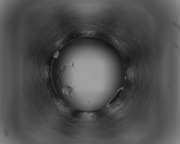 X0000093390570200710191156