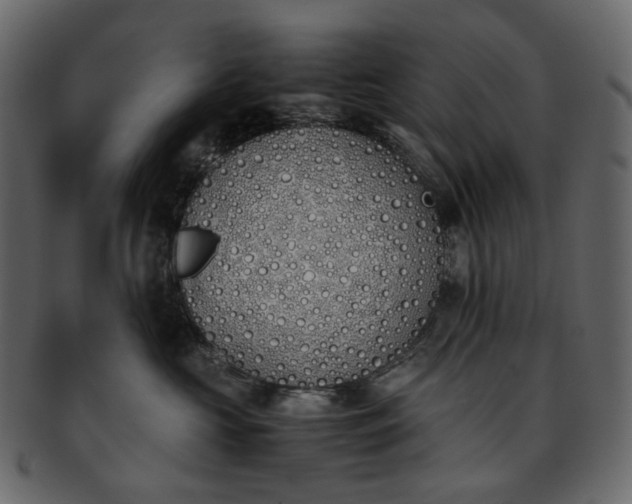 X0000093390573200710191156