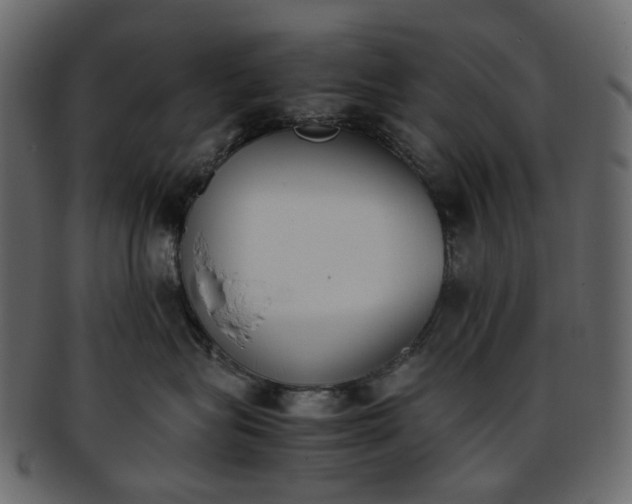 X0000093390575200710191156