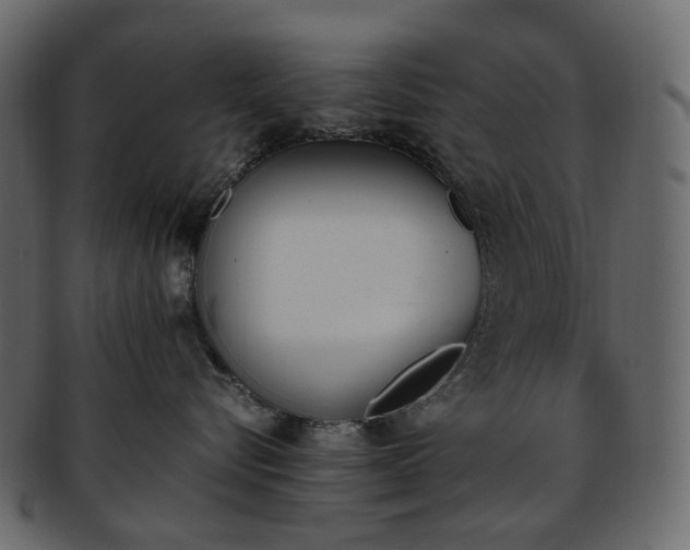 X0000093390576200710191156