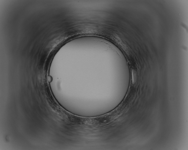 X0000093390579200710191155