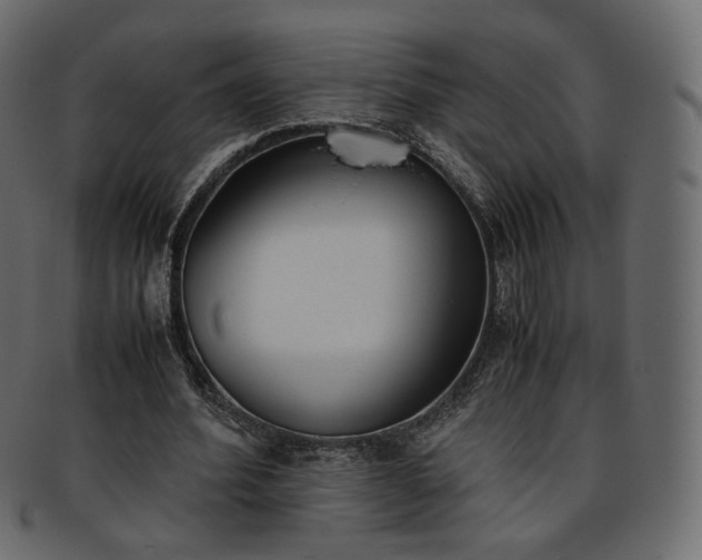 X0000093390580200710191155