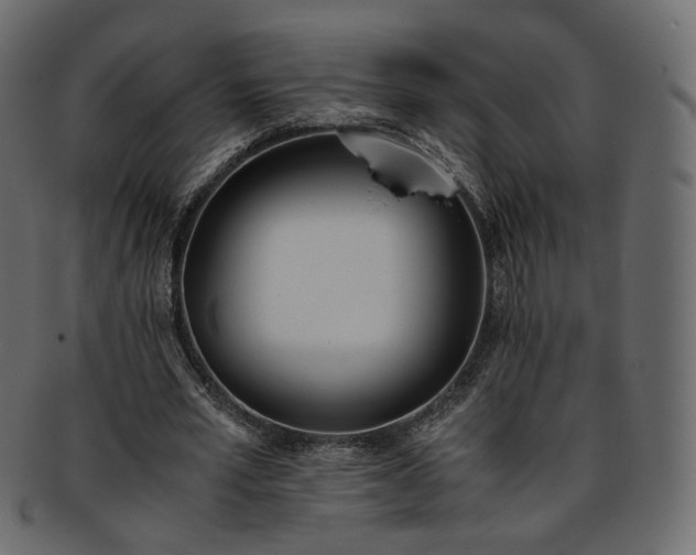 X0000093390581200710191155