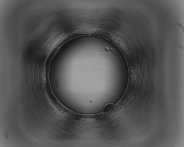 X0000093390582200710191155