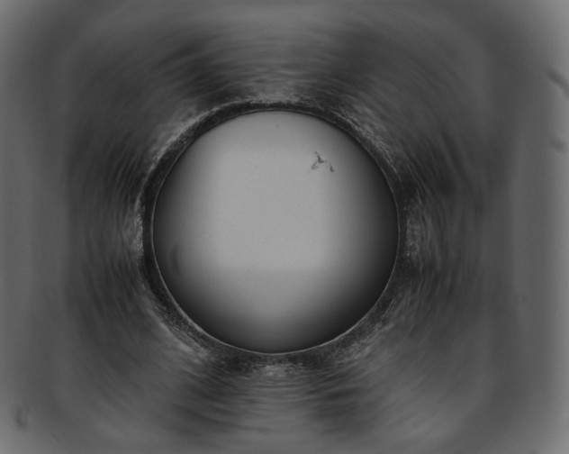 X0000093390584200710191155