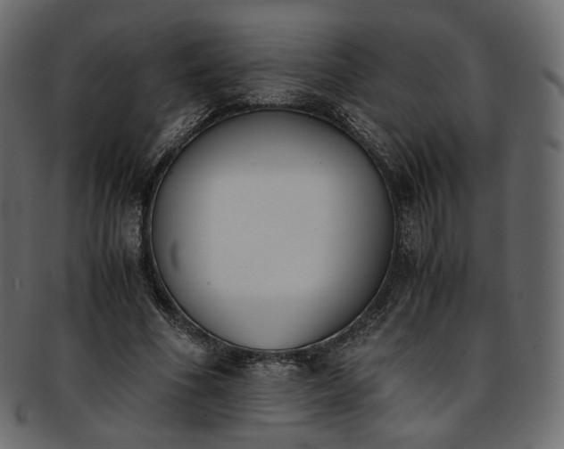 X0000093390586200710191155