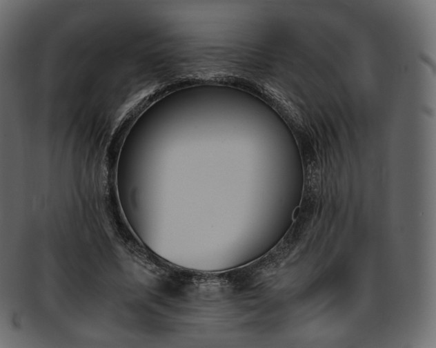 X0000093390587200710191155