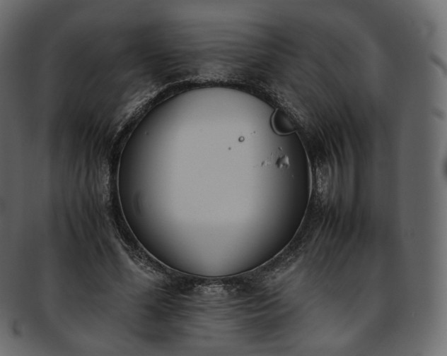 X0000093390588200710191155