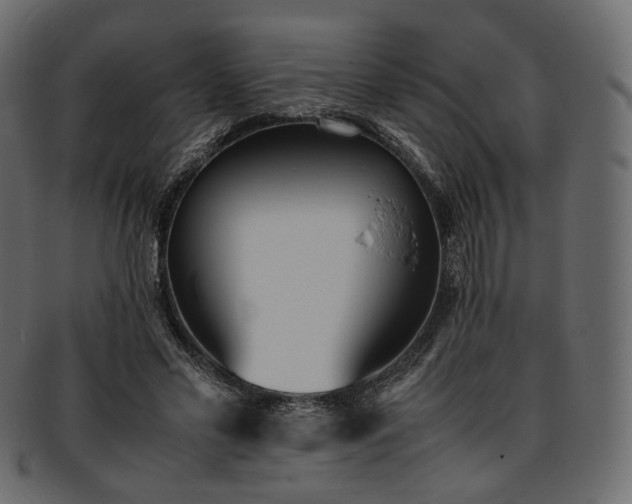 X0000093390589200710191155