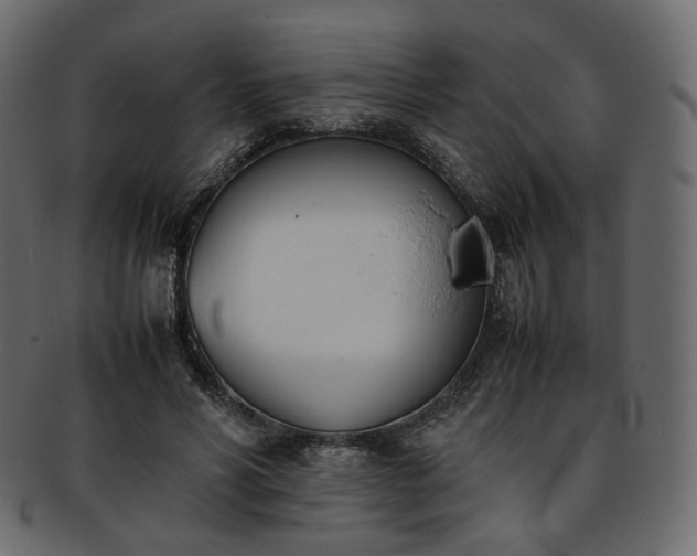 X0000093390590200710191155