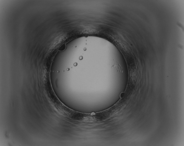 X0000093390591200710191155