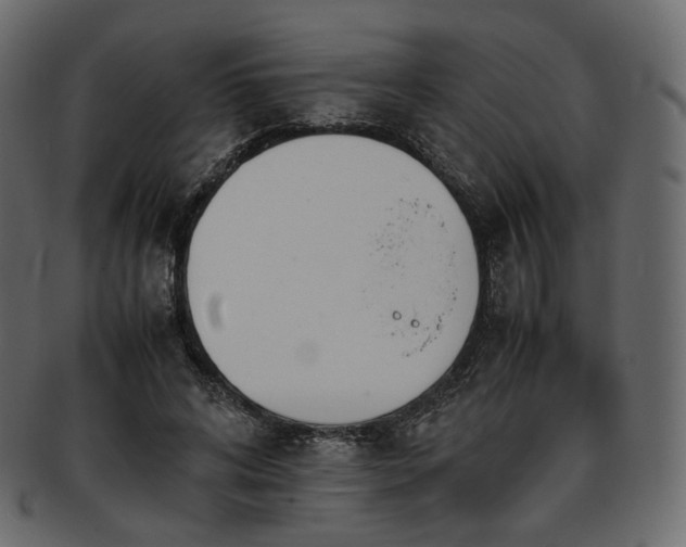 X0000093390592200710191155