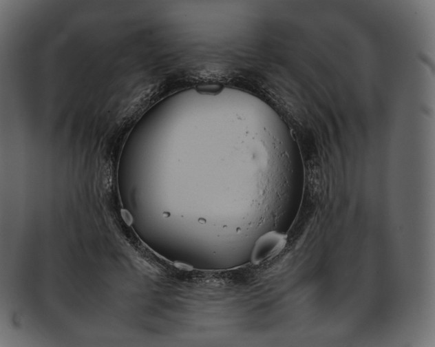 X0000093390593200710191155