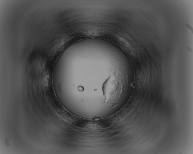 X0000093390596200710191155