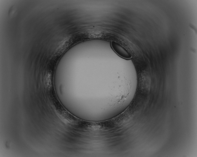 X0000093390598200710191155