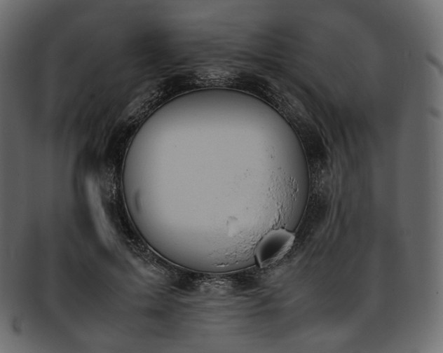 X0000093390599200710191155