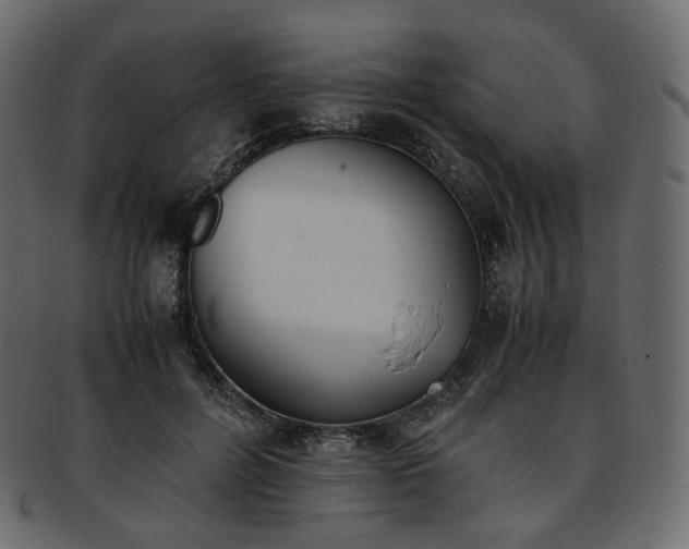 X0000093390600200710191155