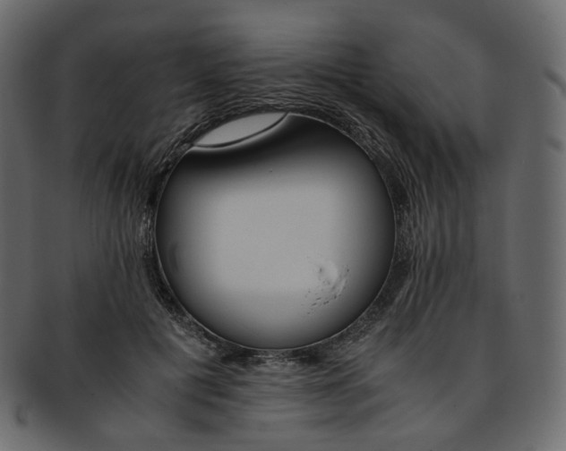 X0000093390601200710191155