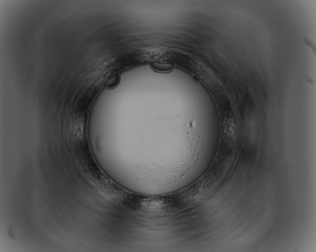 X0000093390602200710191155