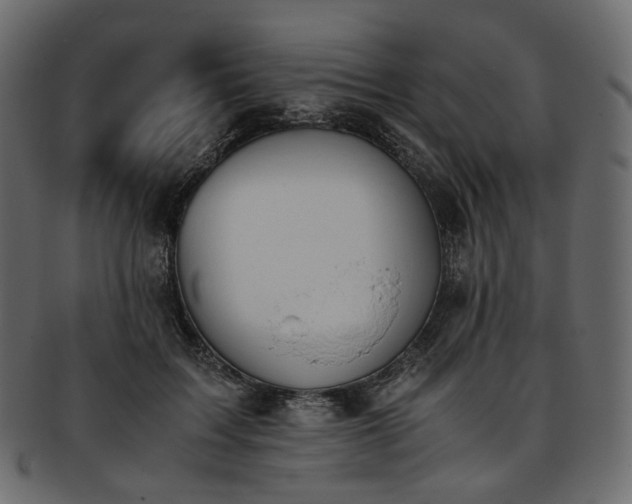 X0000093390603200710191155