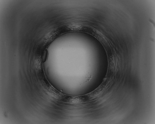 X0000093390604200710191155