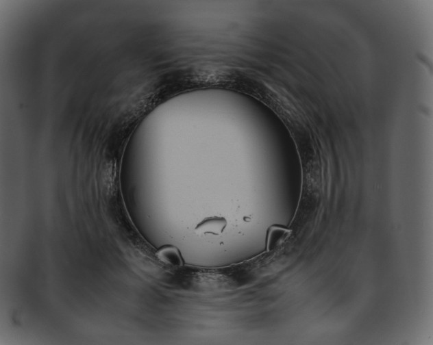 X0000093390605200710191155