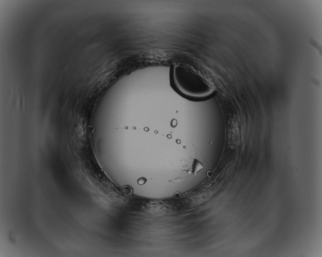 X0000093390608200710191155