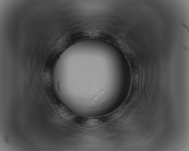 X0000093390609200710191155