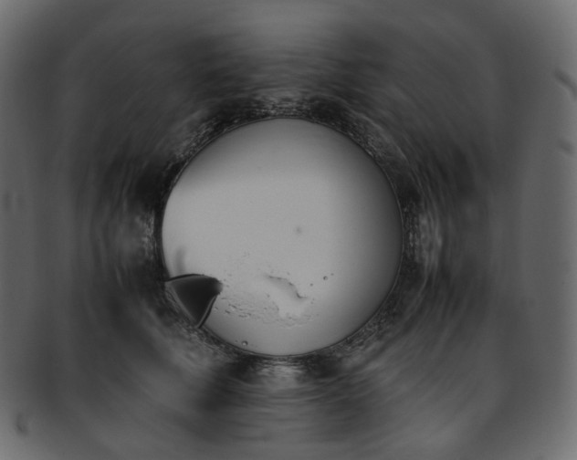 X0000093390610200710191155