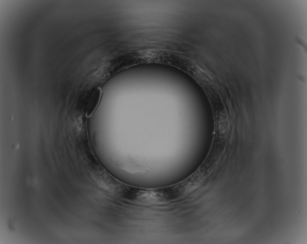 X0000093390611200710191155