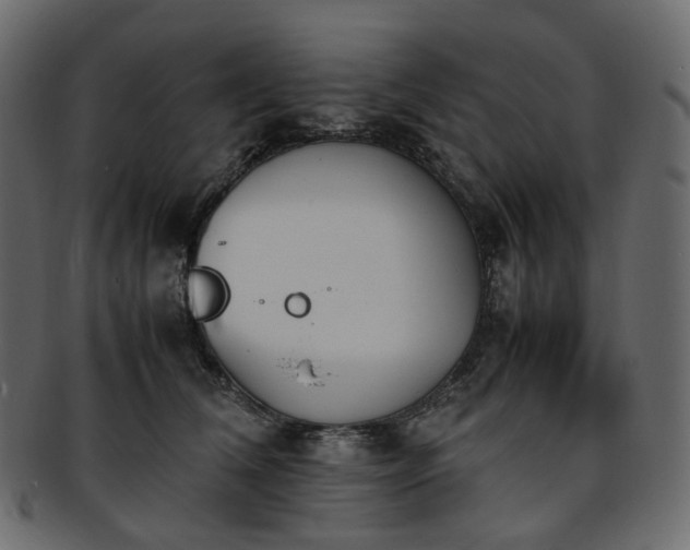 X0000093390612200710191155