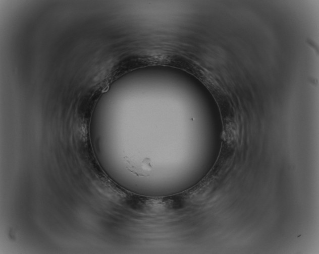 X0000093390613200710191155