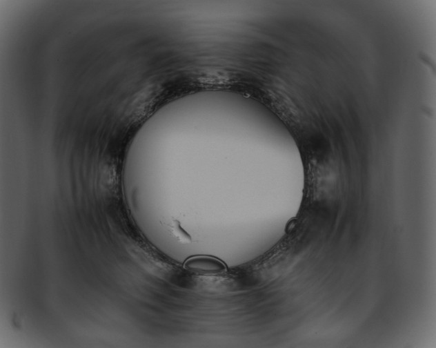 X0000093390614200710191155